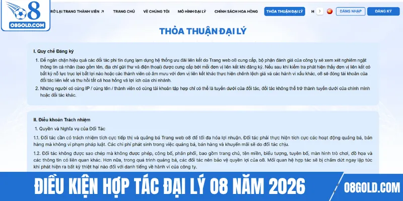 Chi tiết điều kiện hợp tác đại lý O8 năm 2026