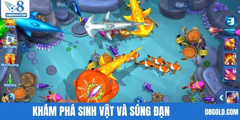 Khám phá sinh vật và súng đạn trong bắn cá H5 24/7