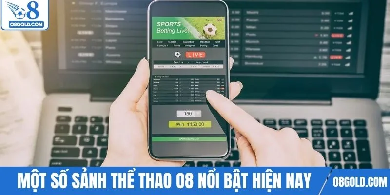 Một số sảnh thể thao O8 nổi bật hiện nay