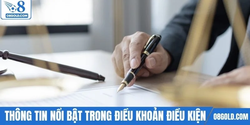 Những thông tin nổi bật trong điều khoản điều kiện